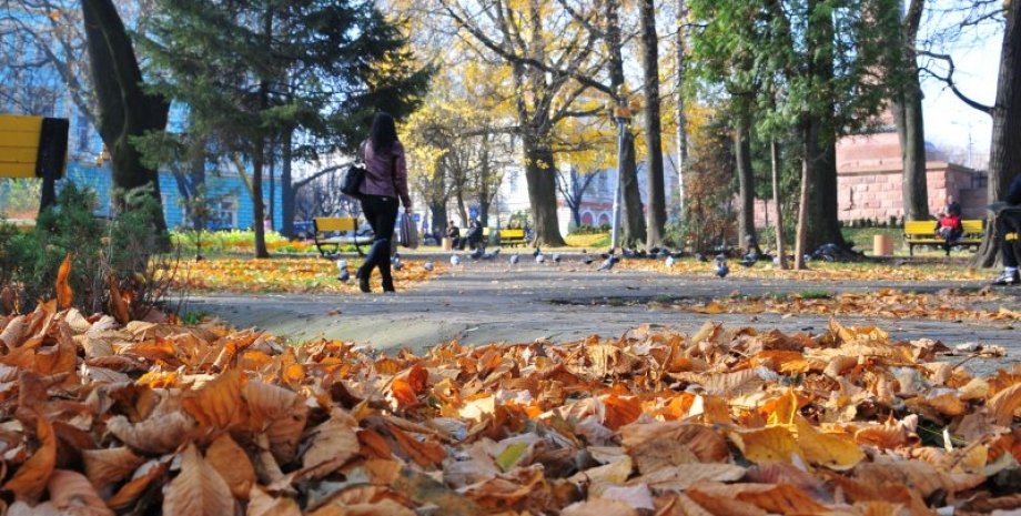 Осень / Фото: ru.molbuk.ua