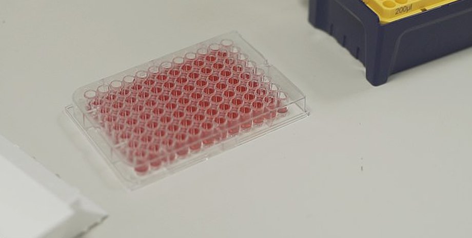 космос, клетки