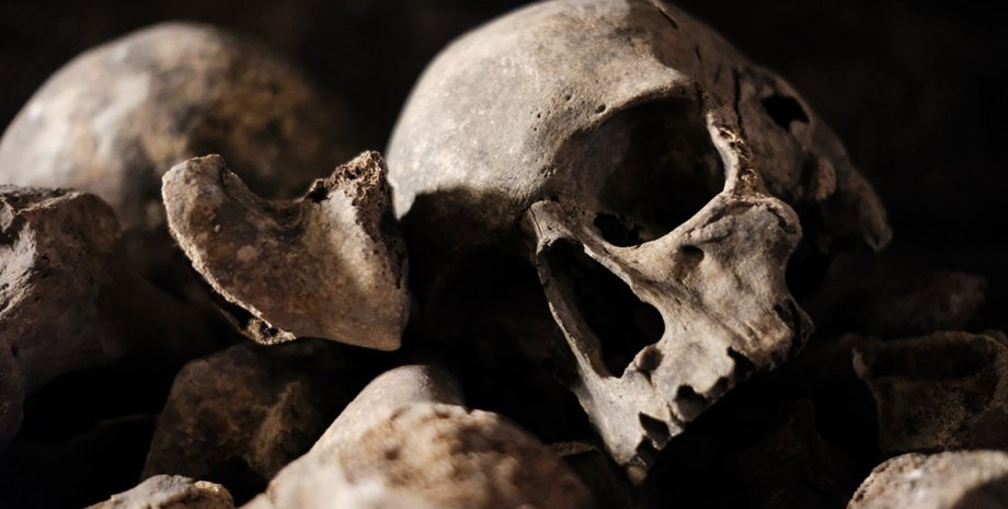 череп груда костей