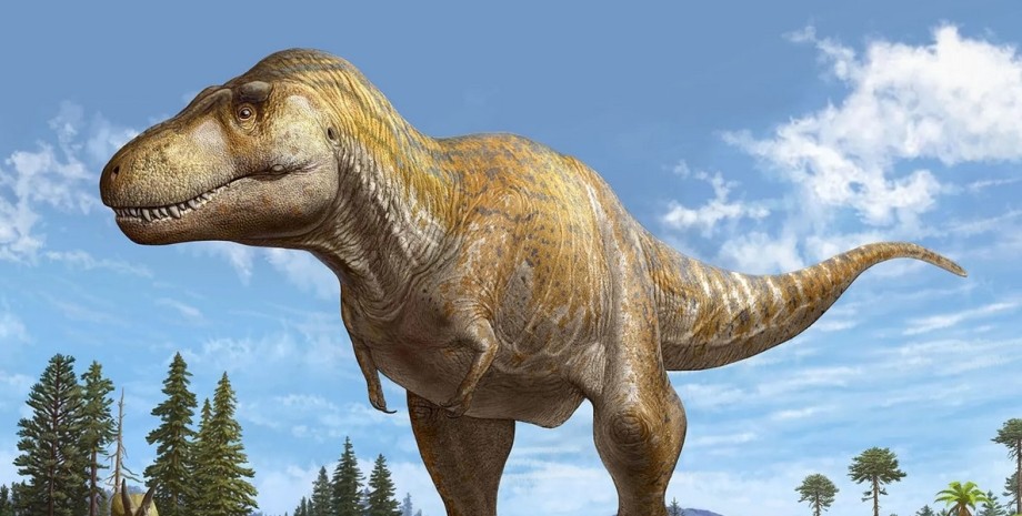 Tyrannosaurus mcraeensis, тиранозавр