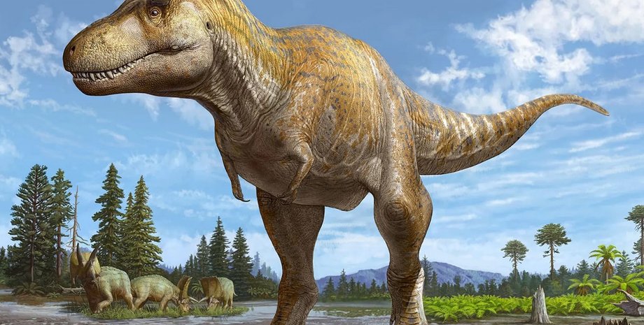 Tyrannosaurus mcraeensis, тираннозавр