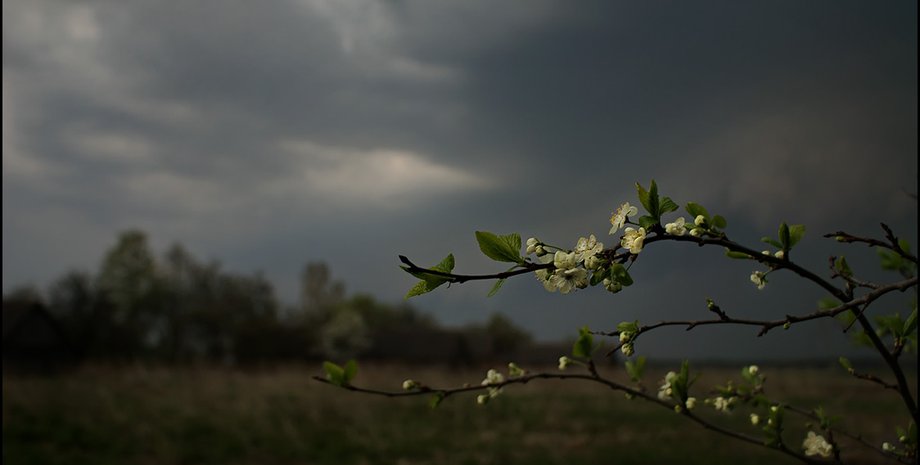 Фото: Photoforum.ru