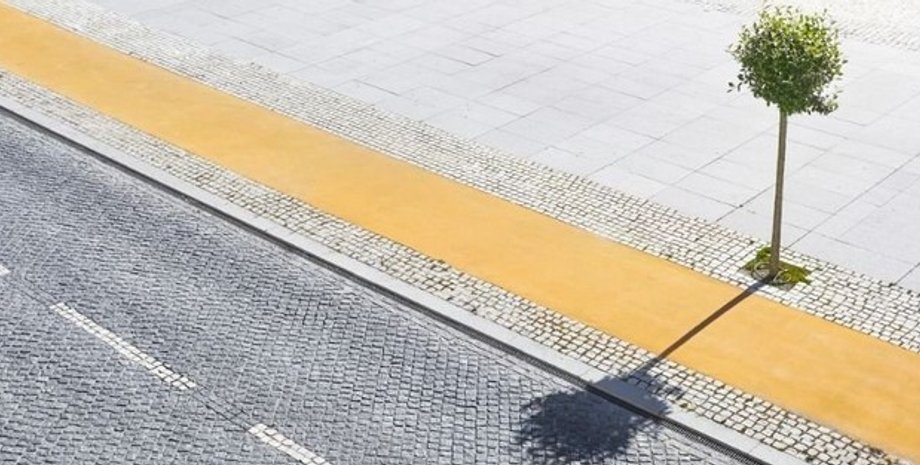 Одинокій дерево в місті