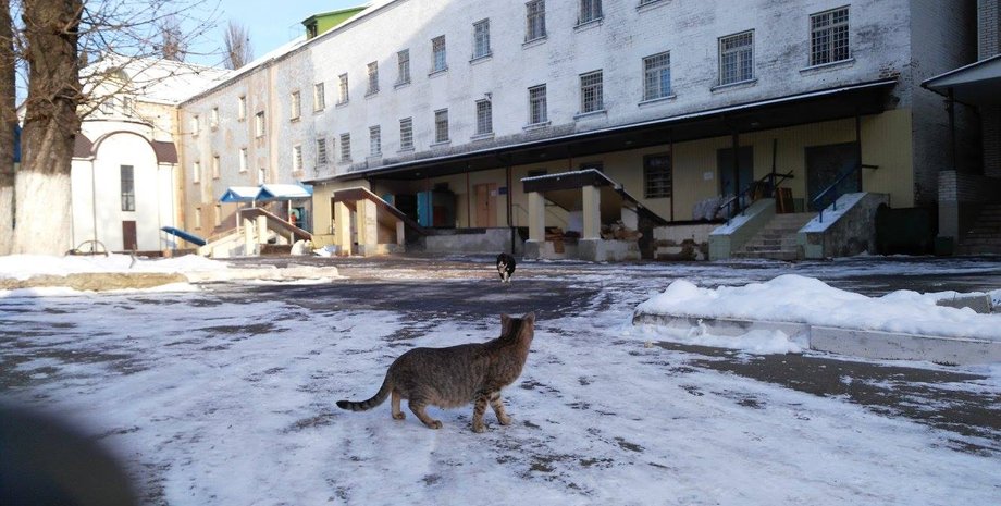 СИЗО в Киеве, платные камеры, Лукьяновское СИЗО