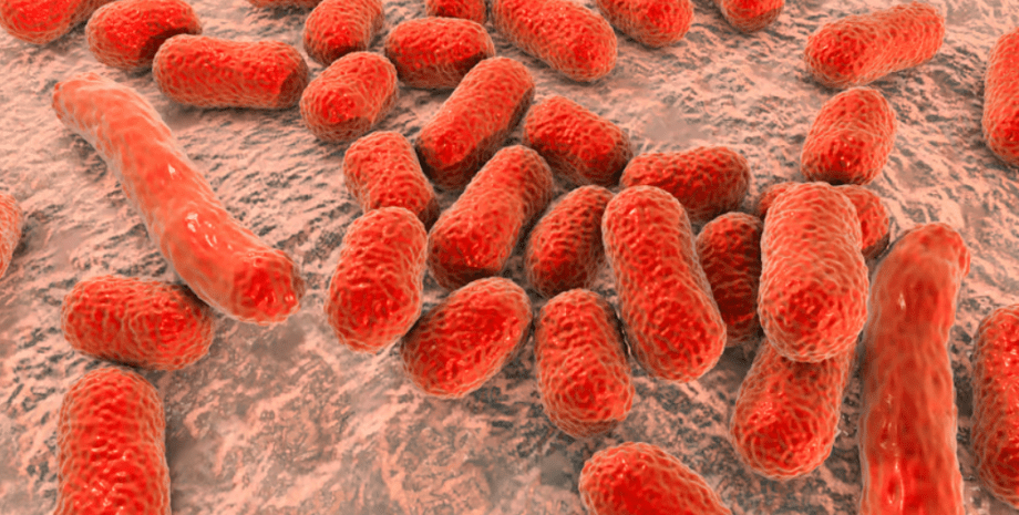 супербактерія, пневмонія, стійкість до антибіотиків