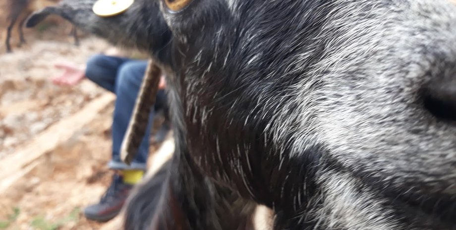 Фото: Константин Николаев