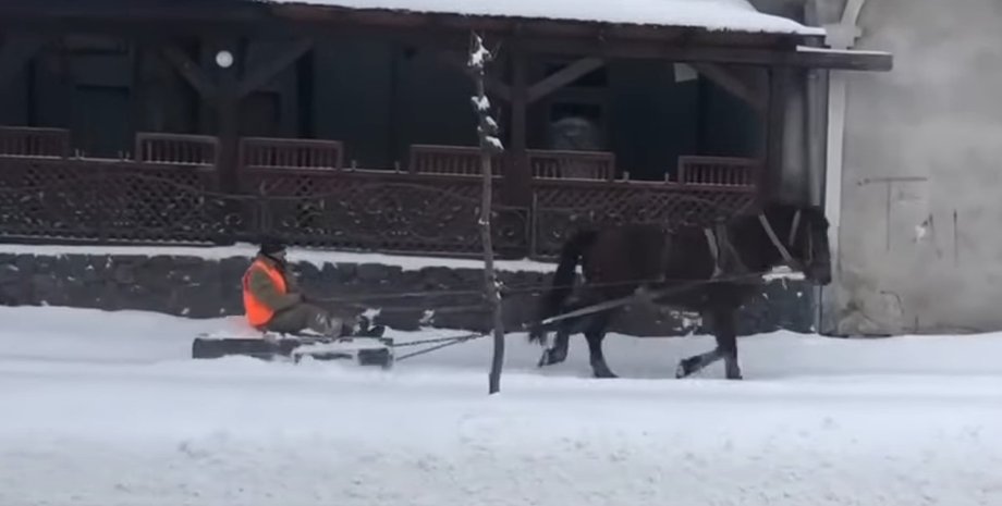 Львов, снегопады, Броды, лошадь,