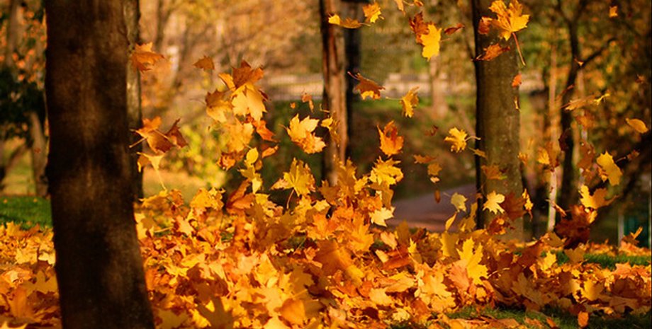 Фото: opogode.ua