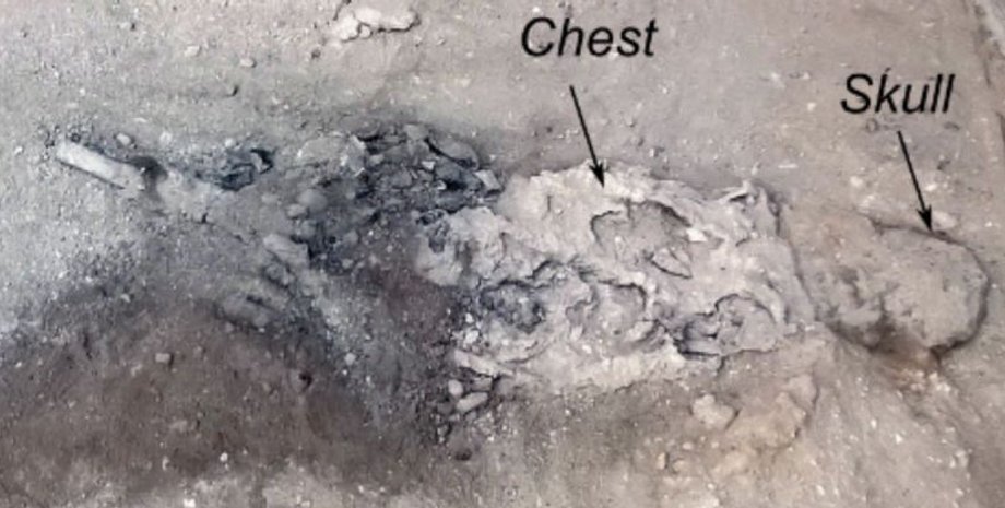 везувий, жертва везувия, извержение везувия жертва