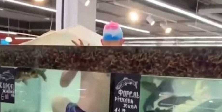 карпы, рыба, Сильпо