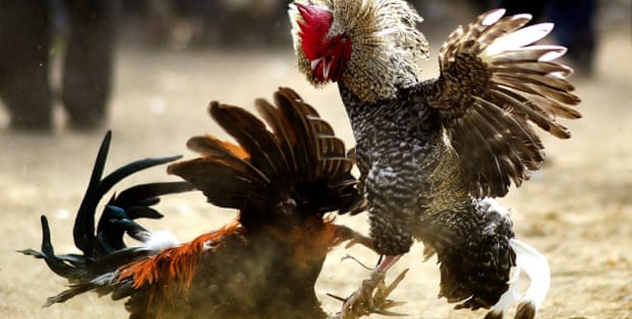 Погибший был опытным фермером