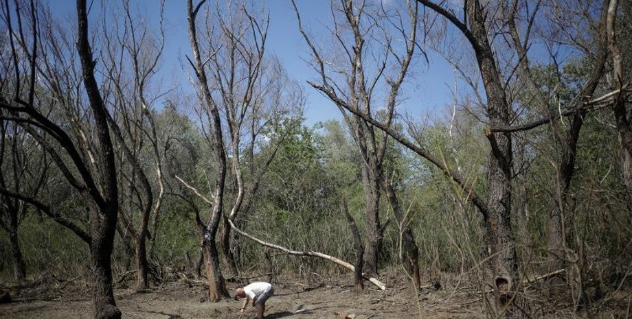 румыния, атака на измаил, российские дроны