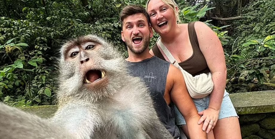 Мавпочка зробила селфі з туристами, тварини, туристи, фото, селфі, священний мавпячий ліс, фото з тваринами, курйози