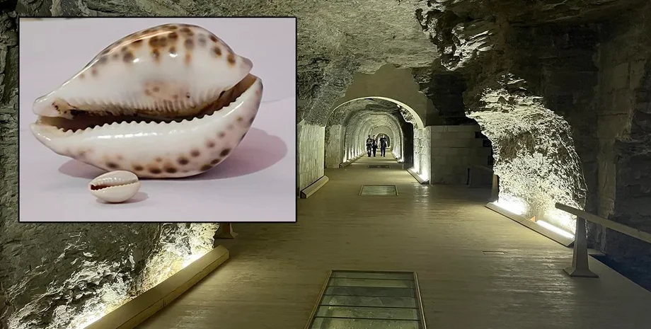 Мушлі молюсків допомагають краще зрозуміти звичаї та повсякденне життя