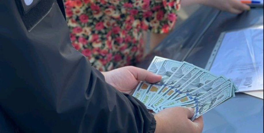 долари, дснс, сбу, мобілізація, посада