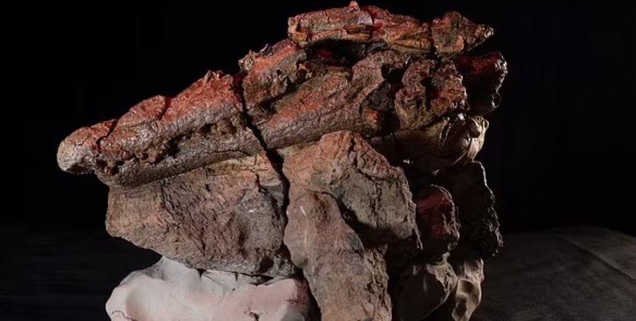 Confractosuchus sauroktonos, древний крокодил