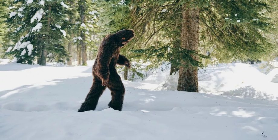 Поиски снежного человека