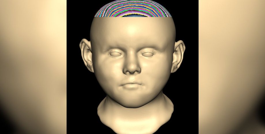 цифровая реконструкция, лицо, фото