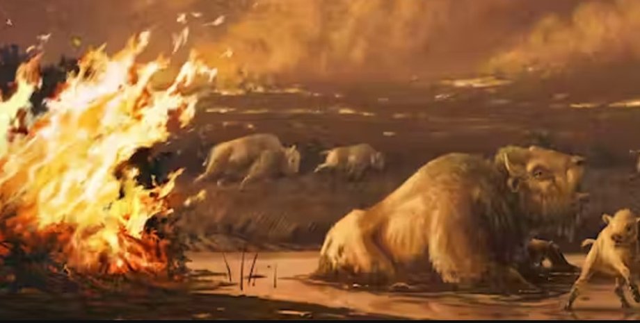 пожар, лесные пожары, массовое вымирание