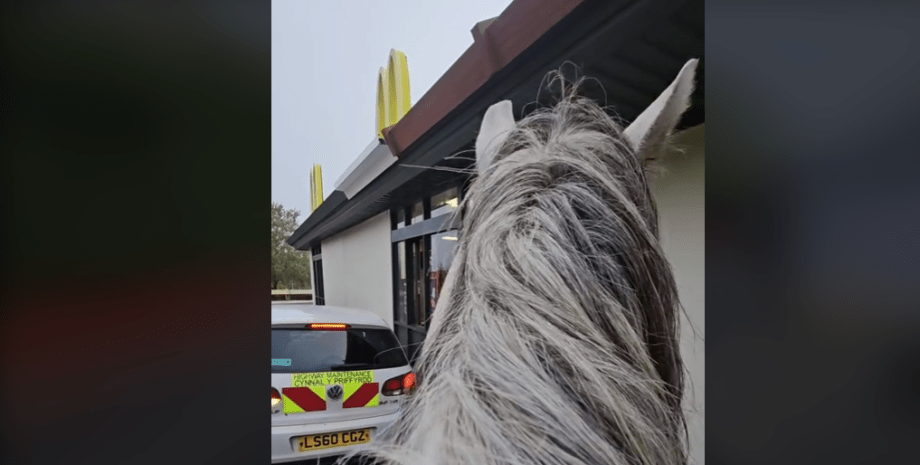 замовлення у McDonald's на коні, кінь, McDrive, МакДрайв, МакДональдс