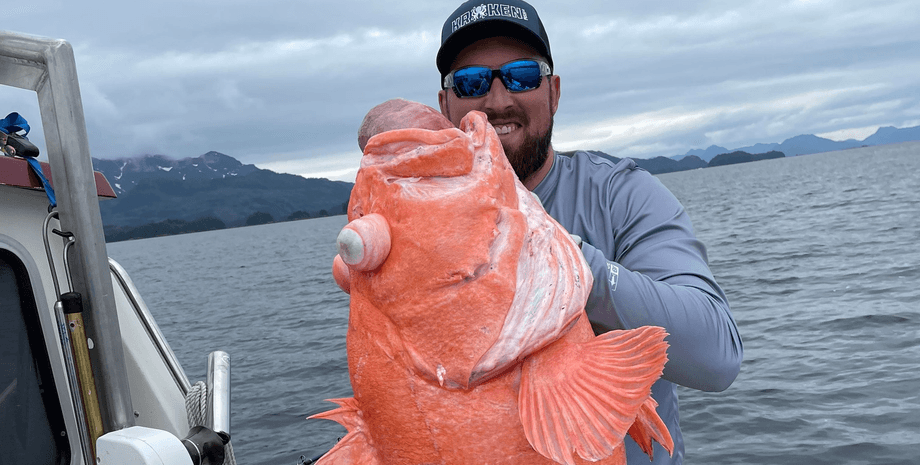 Рыбак поймал огромного морского окуня, северный морской окунь, рекорд штата, вес рыбы, рыбак, улов, розовый гигант