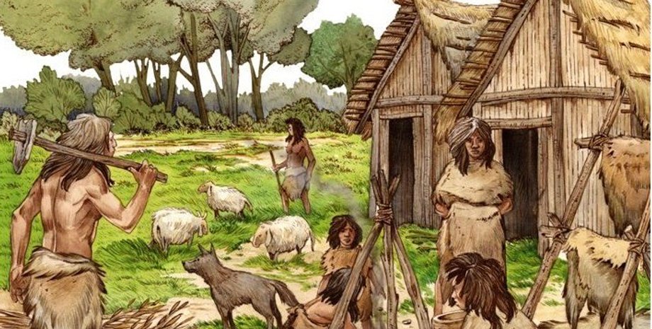 люди, тварини, будинки, фото