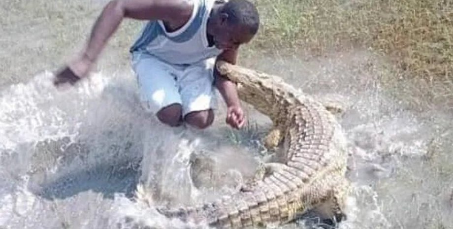 Крокодил напав на чоловіка