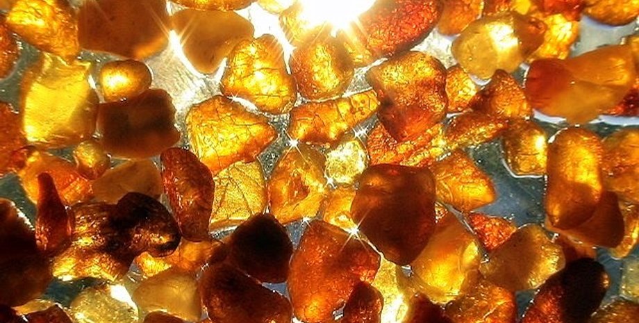 Фото из открытых источников