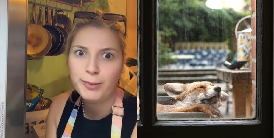 Женщина из Лондона показывает видео с удивительной находкой за своим окном