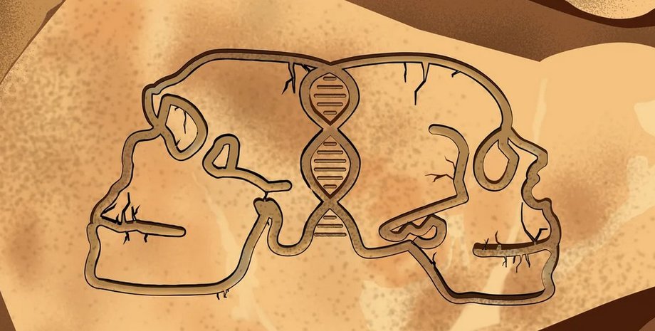 неандертальцы