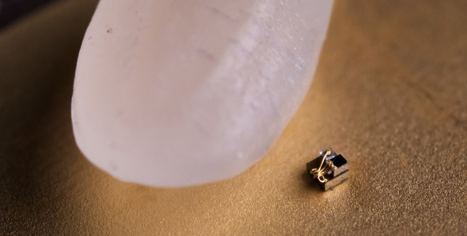 Фото University of Michigan