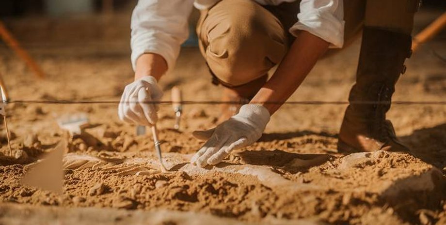 археолог. археология, артефакты