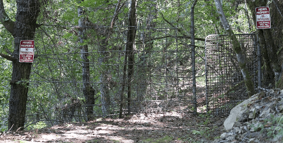 богемський гай сша таємне товариство Тільки для обраних: інсайдер розповів невідомі деталі про таємний "Богемський клуб" (фото)