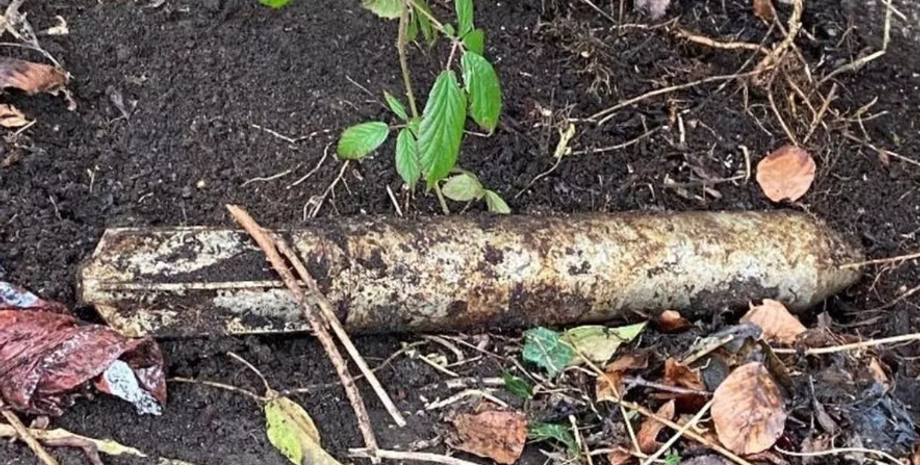 Бомба могла знищити все живе, знахідка в Шотландії, курйози, снаряди, артефакти, фото