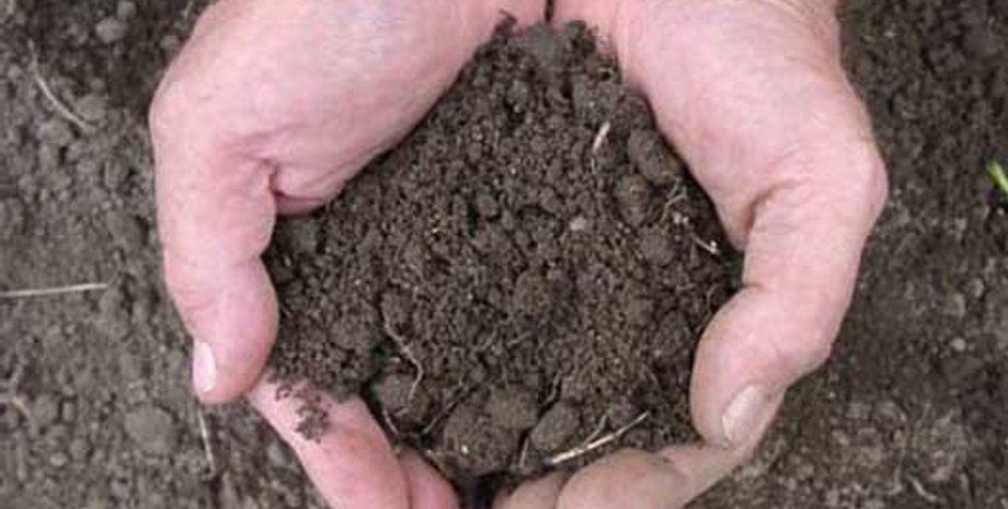 Фото из открытых источников