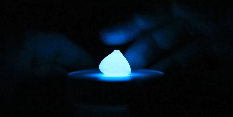 Биолюминесцентные материалы,водоросли