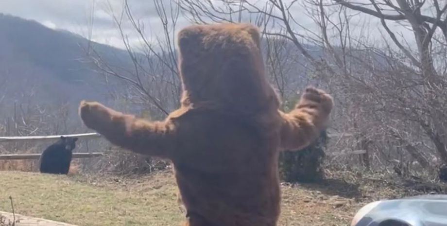 Чоловік із США одягнув костюм звіра, щоб відігнати від свого будинку бурого ведмедя, курйози, цікавинки