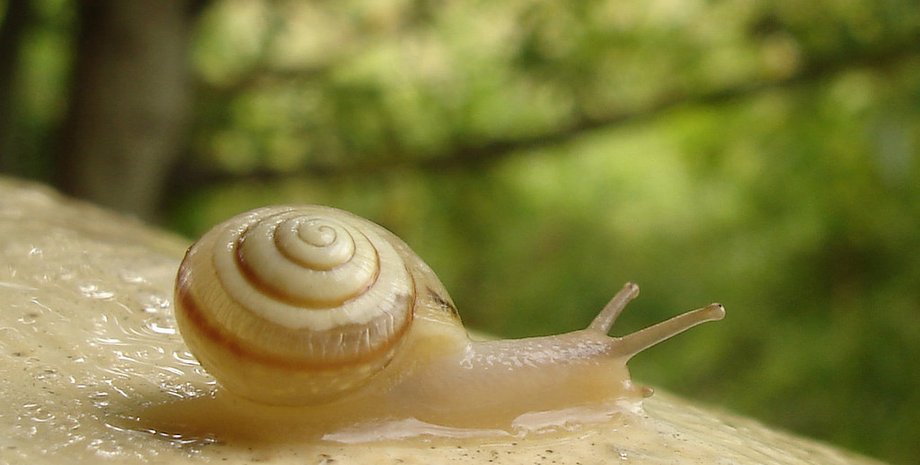 Flickr/Alexander Yampolsky