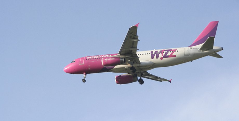 Фото: flickr/peter harris41