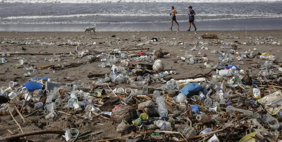 пластик, люди, собака, загрязнение, фото