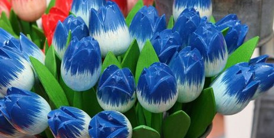 Фото: pixabay.com