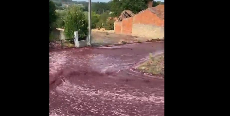 вино португалия