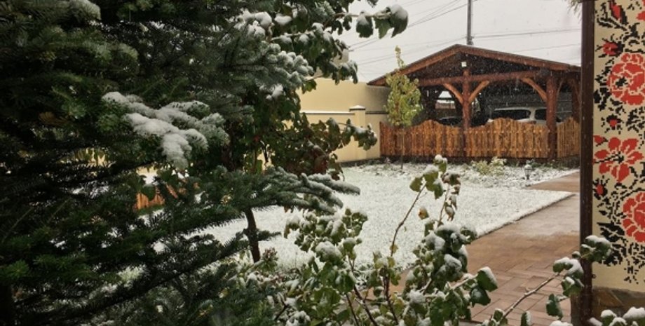 Первый снег в Виннице / Фото: vn.20minut.ua