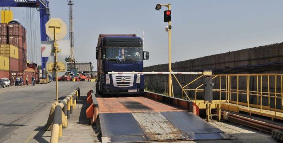 Фото: АграрНик