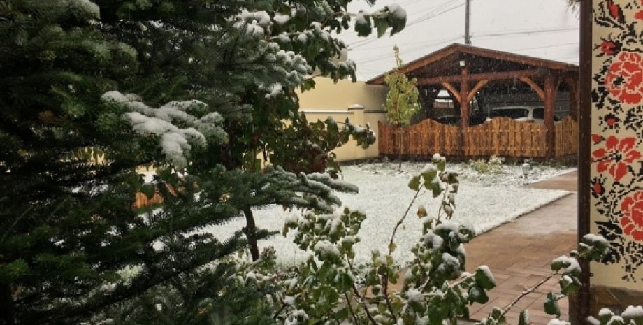 Первый снег в Виннице / Фото: vn.20minut.ua