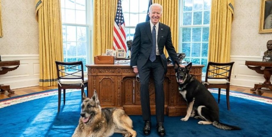 Джо Байден, собаки, овчарки