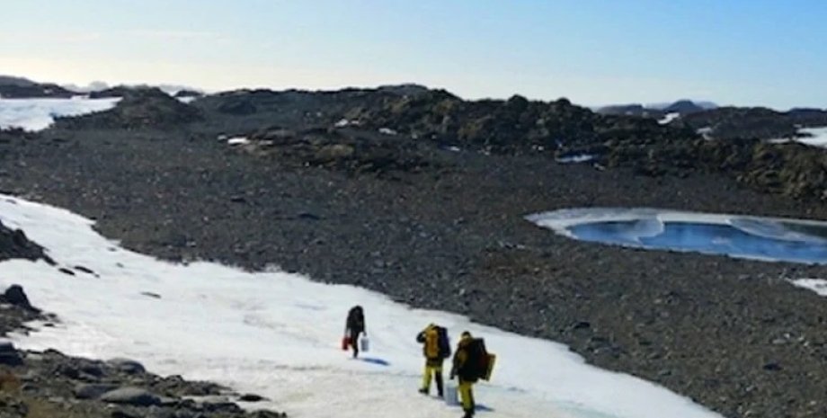 Фото: Browning Peninsula, Antarctic Sampling site. (Belinda Ferrari)