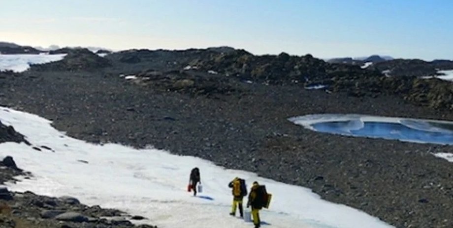Фото: Browning Peninsula, Antarctic Sampling site. (Belinda Ferrari)