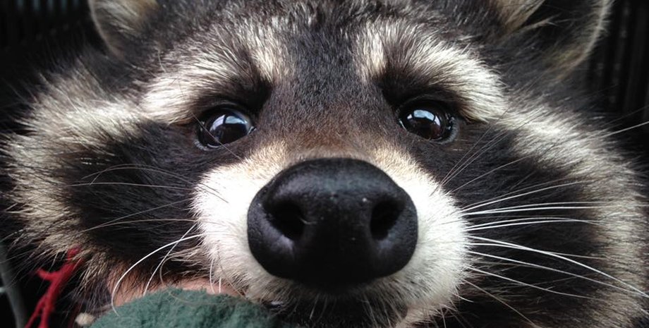 Фото: Quinta Layla