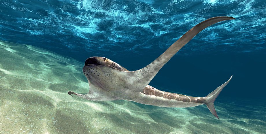 крылатая акула, океан, планктон, меловой период